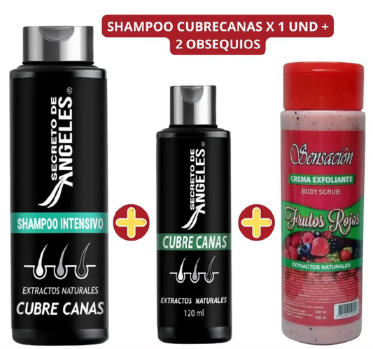 Shampoo Secreto de ángeles + 2 obsequios